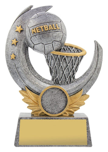 Gold coast trophy, trophy shop, netball trophy, sport trophy, school netball trophy